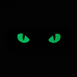 M-Tac naszywka Cat Eyes (Type 2) Laser Cut  2