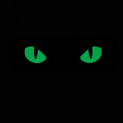 M-Tac naszywka Cat Eyes (Type 2) Laser Cut  2