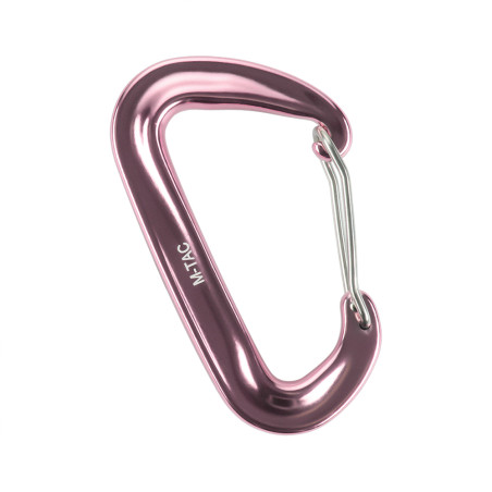 Carabiner Type 4 
