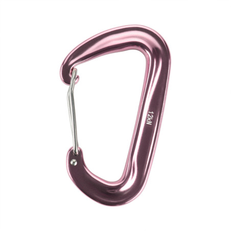 Carabiner Type 4 