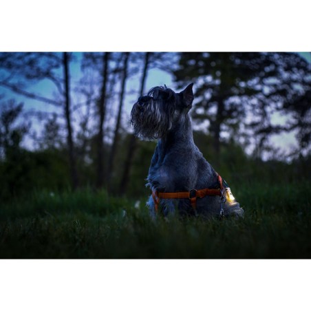 Latarka brelokowa ARMYTEK ZIPPY Yellow Amber